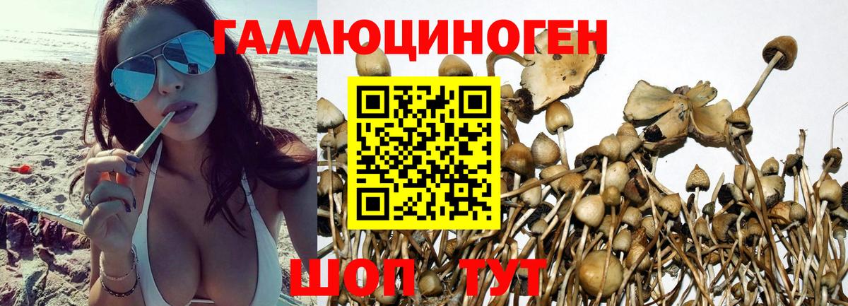 Липецк  Псилоцибиновые грибы ЛСД  Вход с VPN 