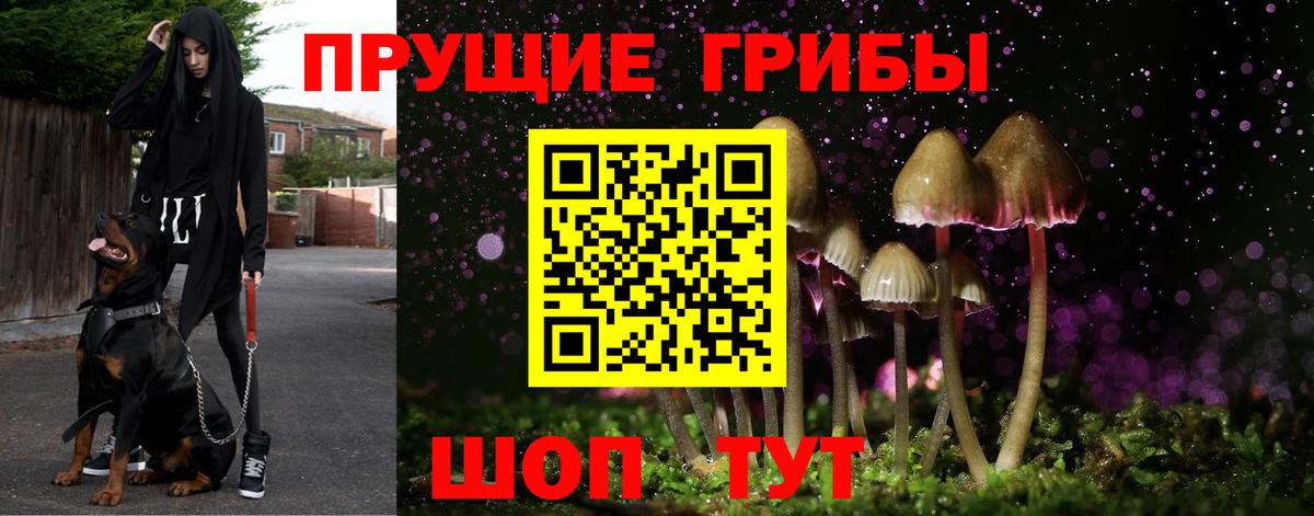 Псилоцибиновые грибы Cubensis Липецк